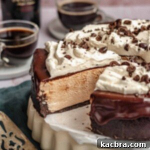 A tempting slice of Baileys cheesecake being served, showing its layers of creamy filling, chocolate ganache, and fluffy whipped cream.
