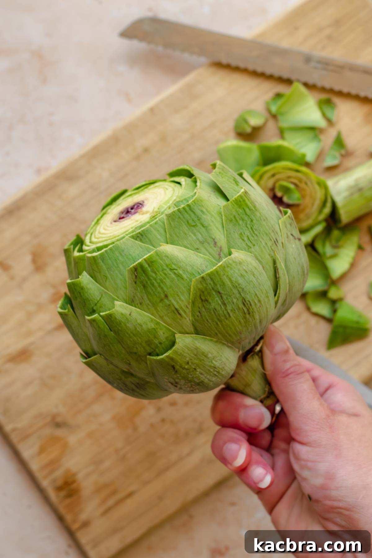 A hand holds a prepared artichoke.
