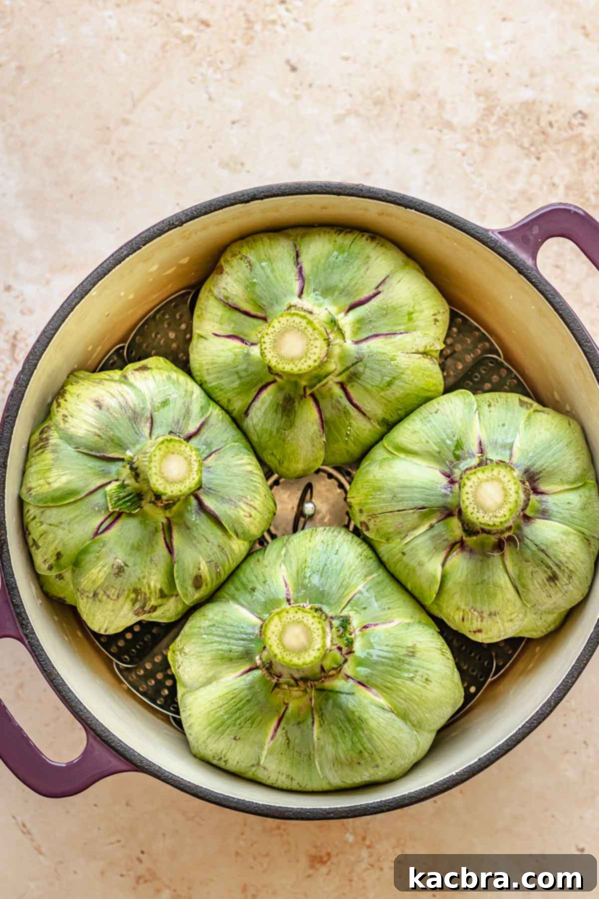 Artichokes in a pot with the bottom sides up.
