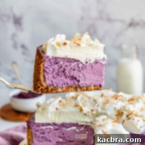 A pie server holds up a piece of sliced cube cheesecake.