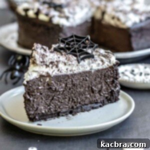 A slice of halloween cheesecake on a plate with a spider web on top.