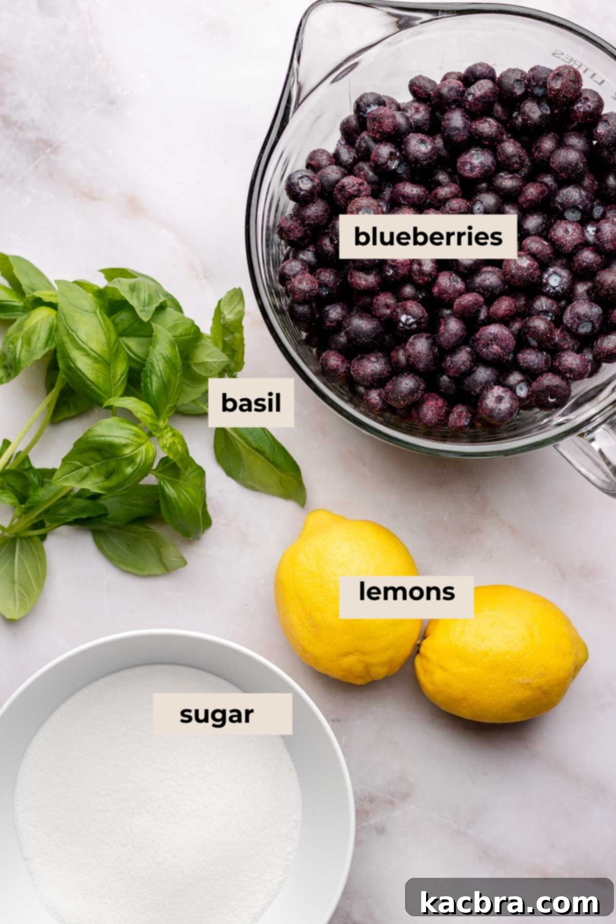 Ingredients for blueberry sorbet.