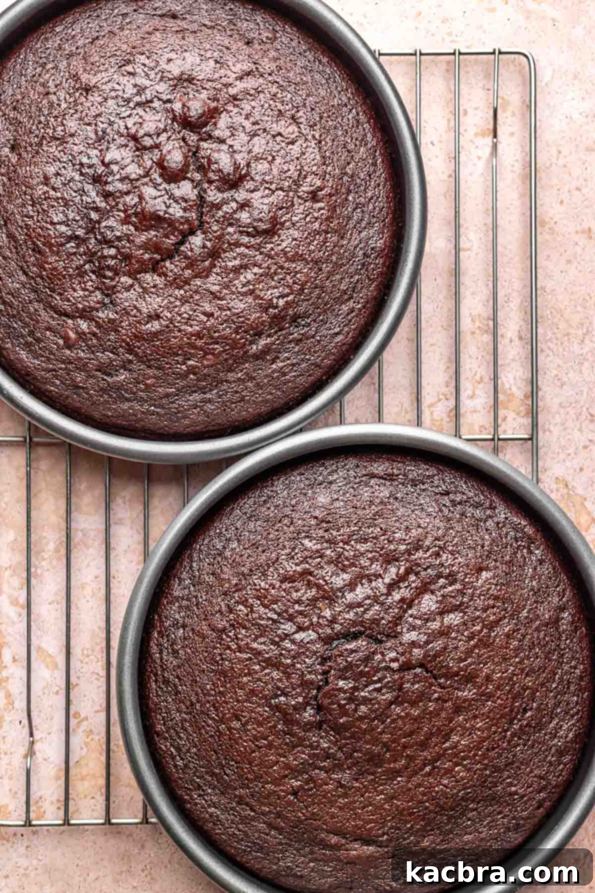 Two baked chocolate cake rounds on a wire rack.