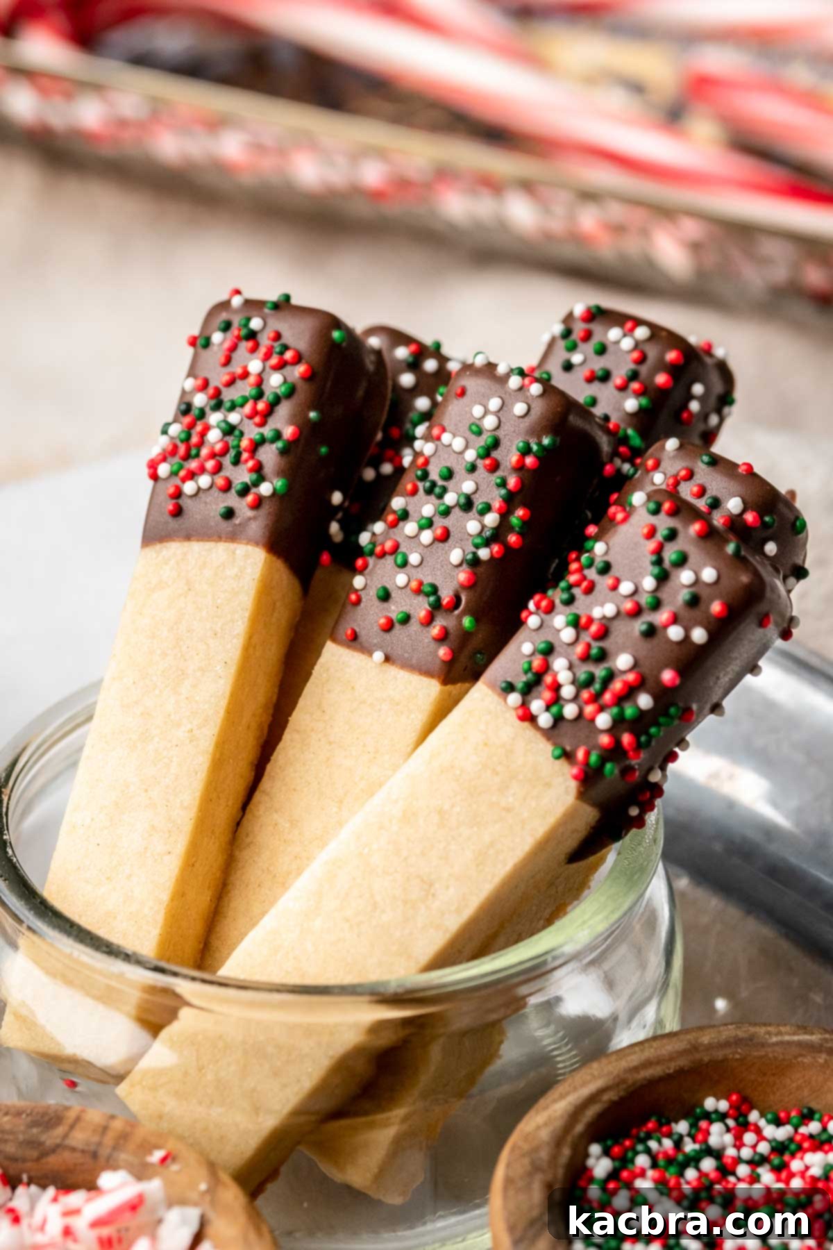 Chocolate Coated Cookie Wands 2 Cookie sticks upright in a jar, showcasing their elegant shape and chocolate dip.