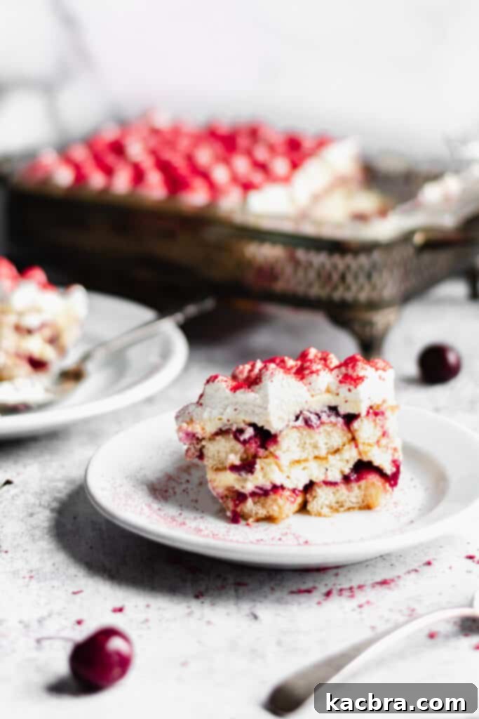 Two vibrant slices of Cherry Almond Tiramisu on a plate, garnished with a fresh cherry, highlighting the dessert's refreshing appeal.
