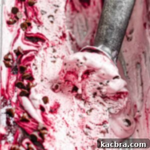 Ice cream scoop in a loaf pan of blackberry chip ice cream.