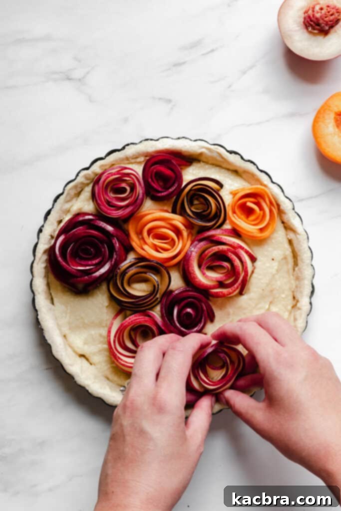 Completed stone fruit rose, showcasing delicate petals.