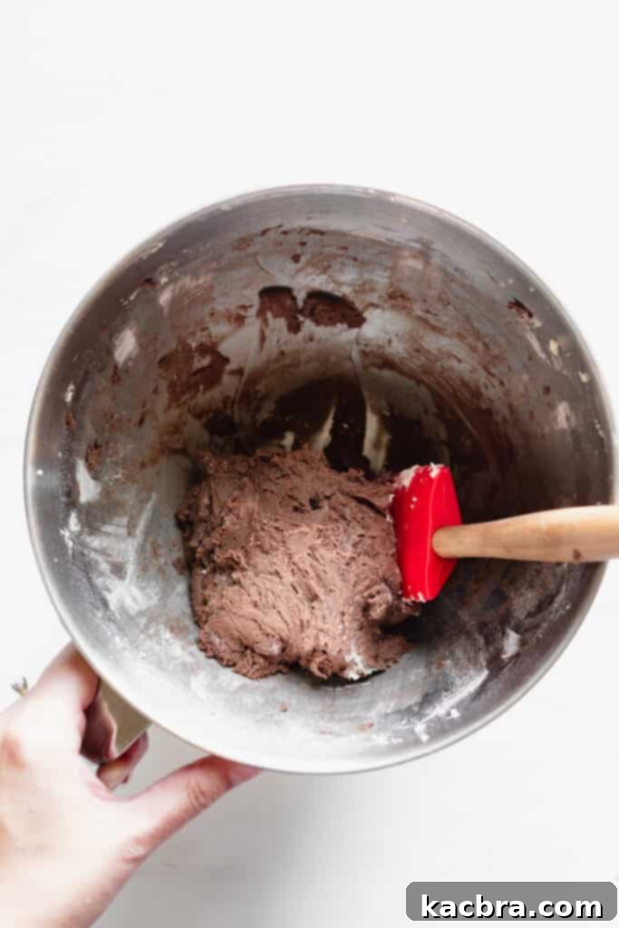 Chocolate sweet tart dough after mixing, soft and pliable