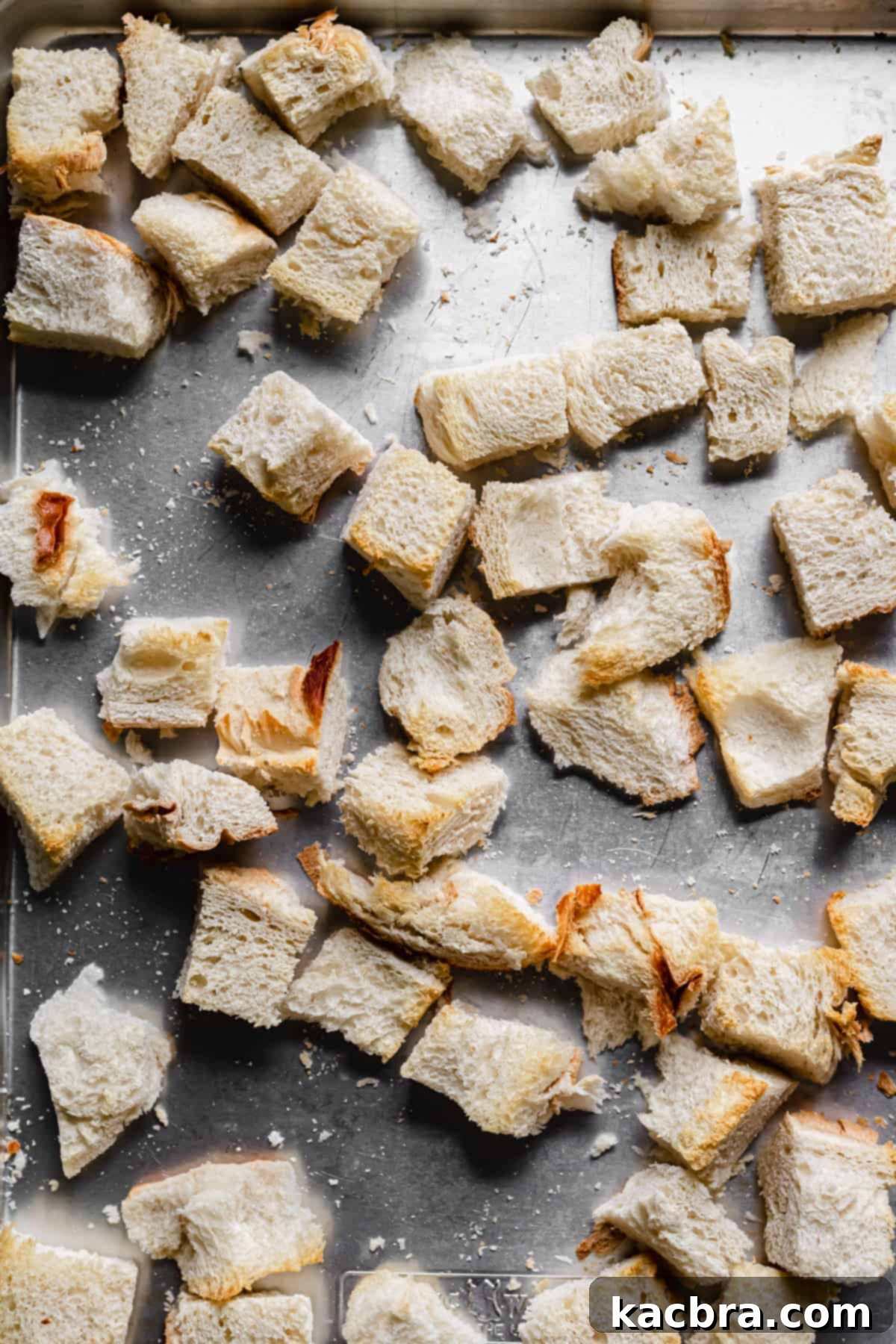 Toasted bread cubes spread evenly on a baking pan.