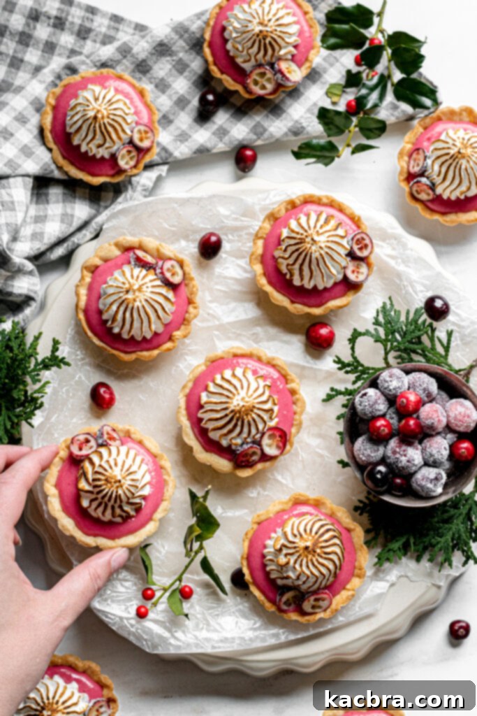 Festive Cranberry Curd Tartlets with Meringue