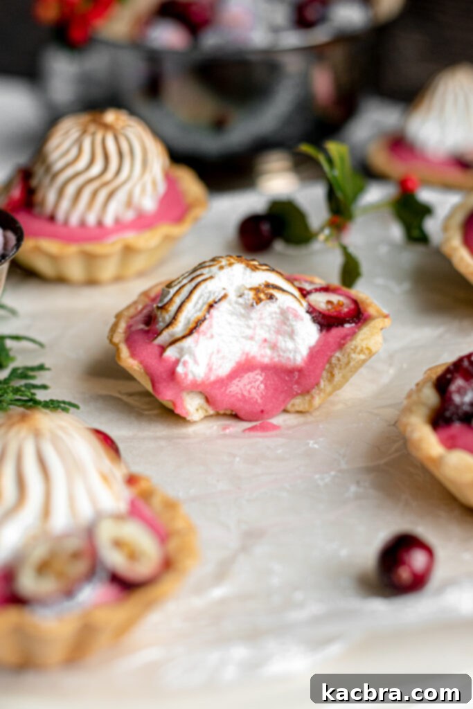 Close-up of Cranberry Curd Tarts with meringues and sugared cranberries