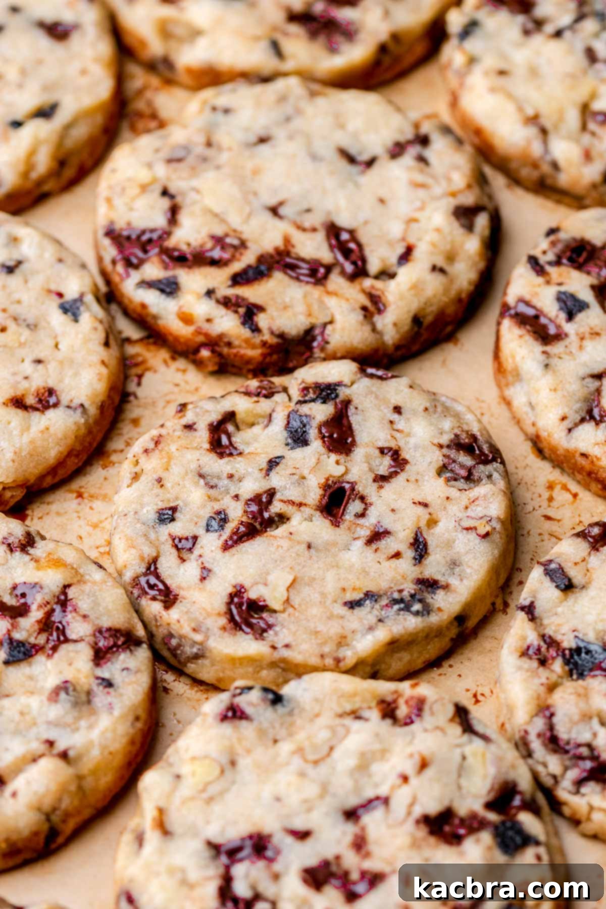 An array of baked slice and bake cookies cooling on a pan, showcasing their perfectly round shape.