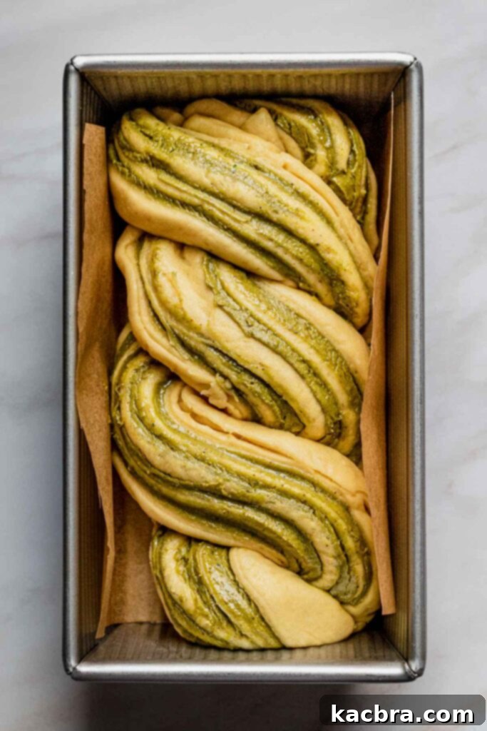 The babka dough, now visibly risen and puffy, fills out the loaf pan, indicating it has successfully proofed and is ready to be baked into a delicious sweet bread.