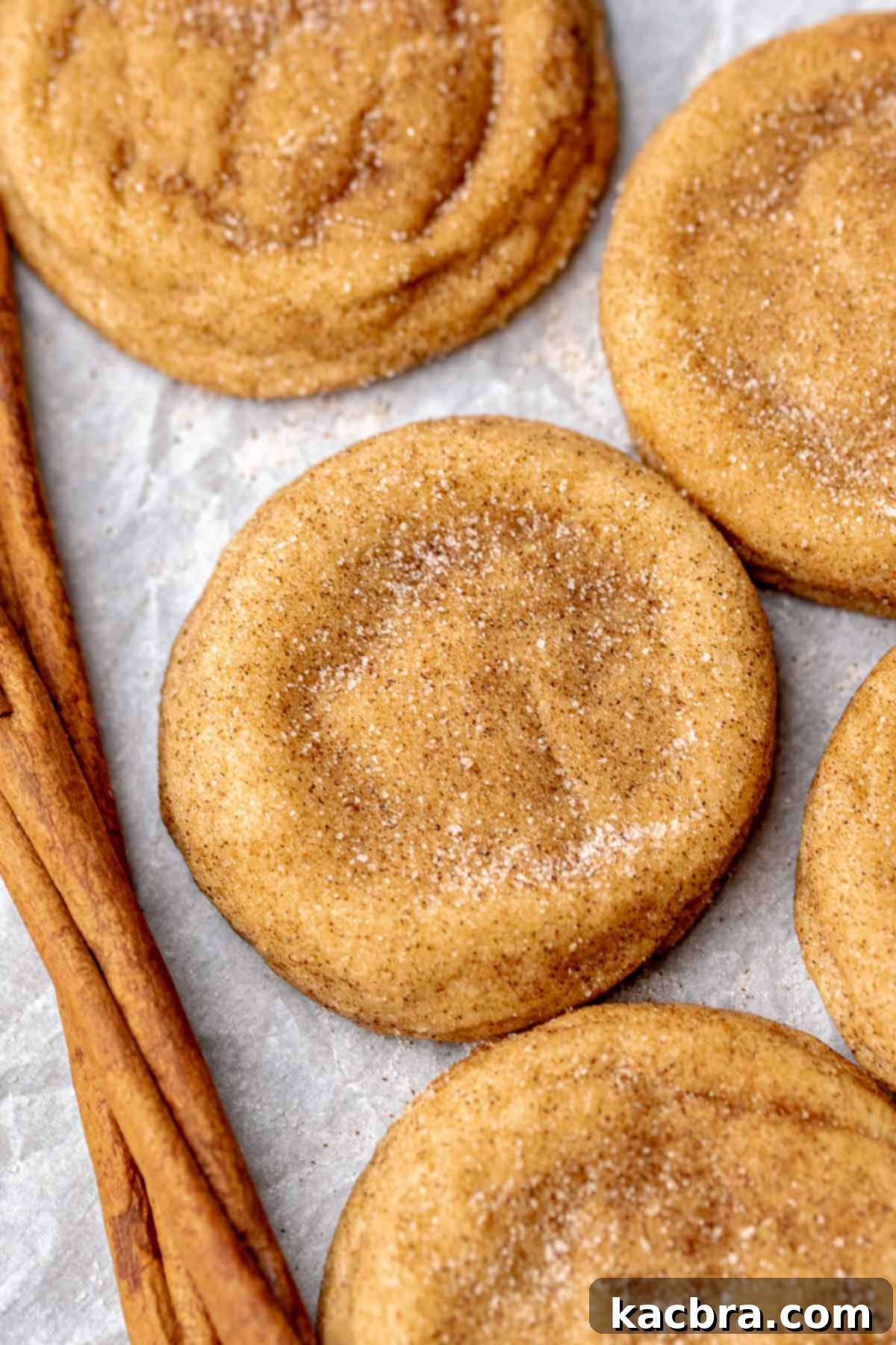 Snickerdoodle cookies on parchemnt paper.