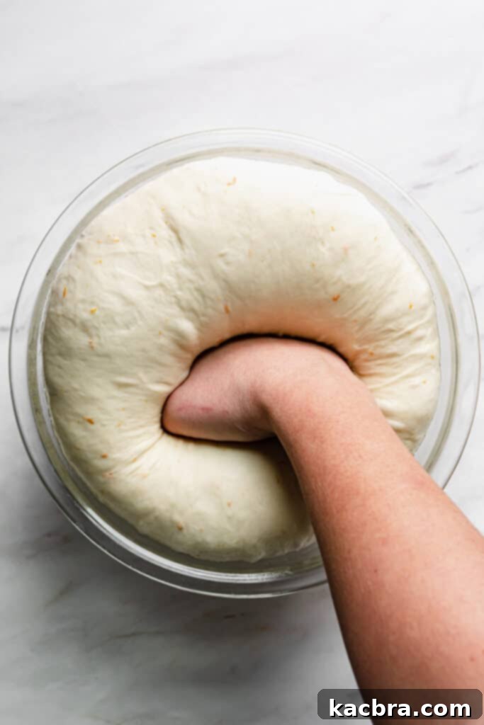 Image showing dough punched down and ready for rolling.